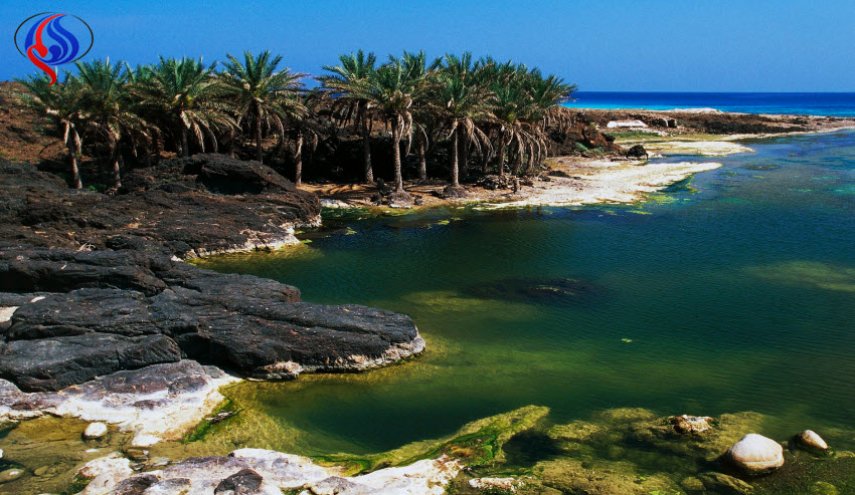 سقطرى.. جزيرة ثرواتها تسيل لعاب الإمارات