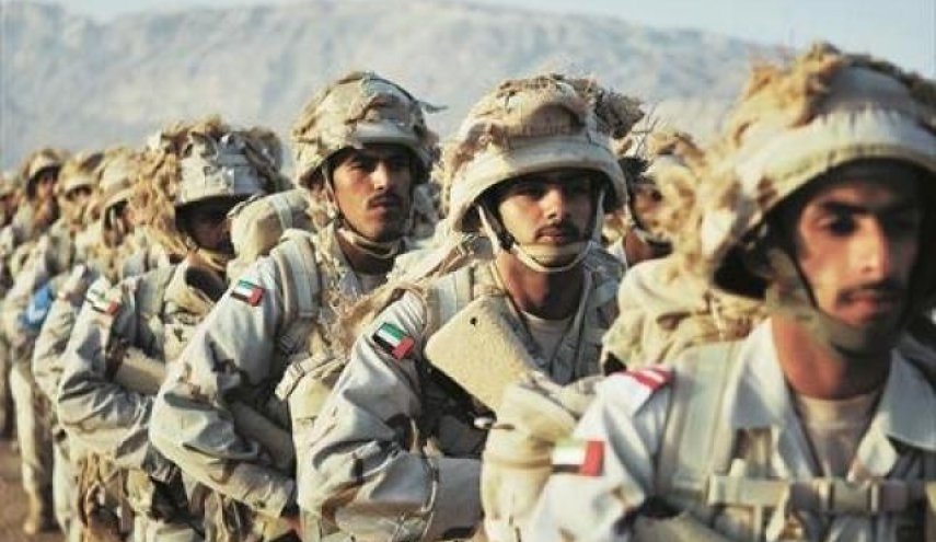 أول رد إماراتي بشأن سقطرى اليمنية