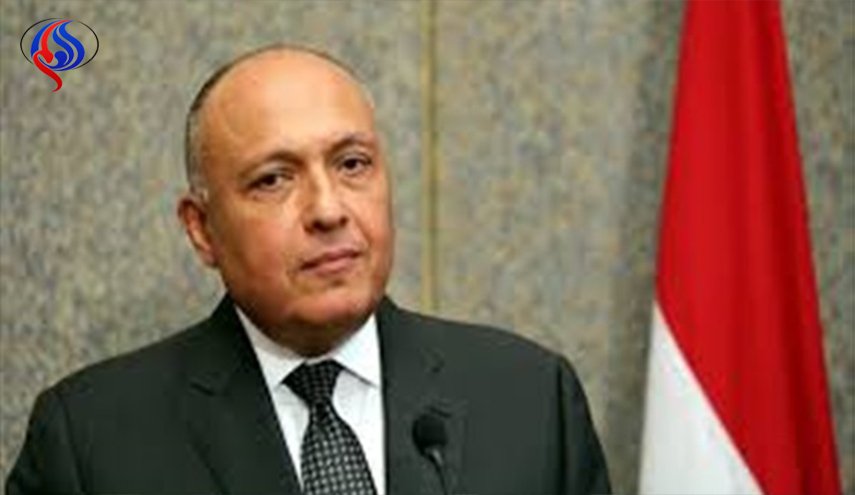 «شكري» يشارك في قمة التعاون الإسلامي بإسطنبول 