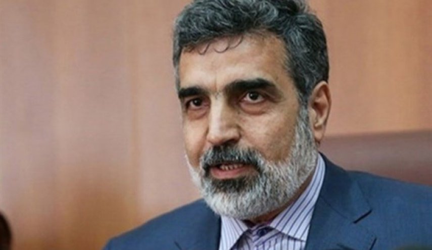 اظهارات اروپایی‌ها باید به عمل تبدیل شود/ ظرف دو تا سه روز قادر به غنی‌سازی 20 درصد هستیم