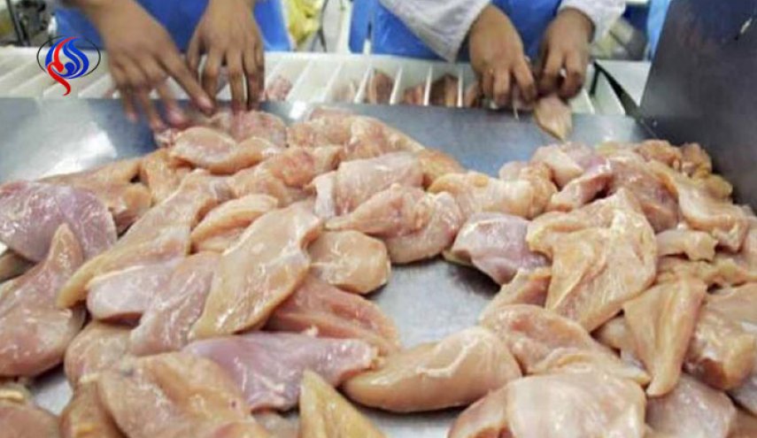 توتر العلاقات التجارية بين امريكا وبريطانيا.. والسبب دواجن!!