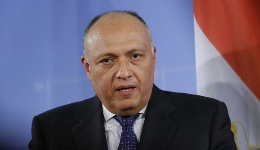 شكري لدى ميستورا:سنواصل جهودنا لإرساء حل سياسي بسوريا
