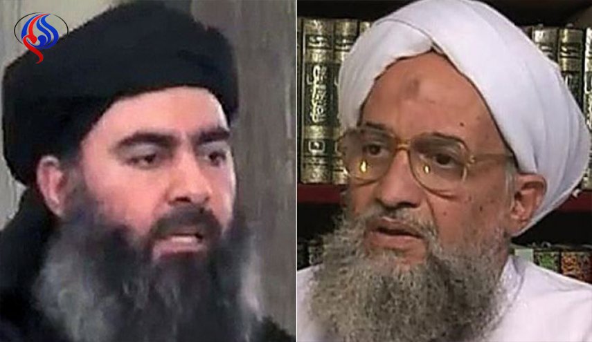 داعش والقاعدة.. الى الذئاب المنفردة درّ
