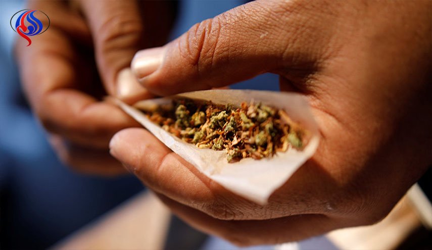 بريطانيا تقترب من إجازة استخدام الحشيش