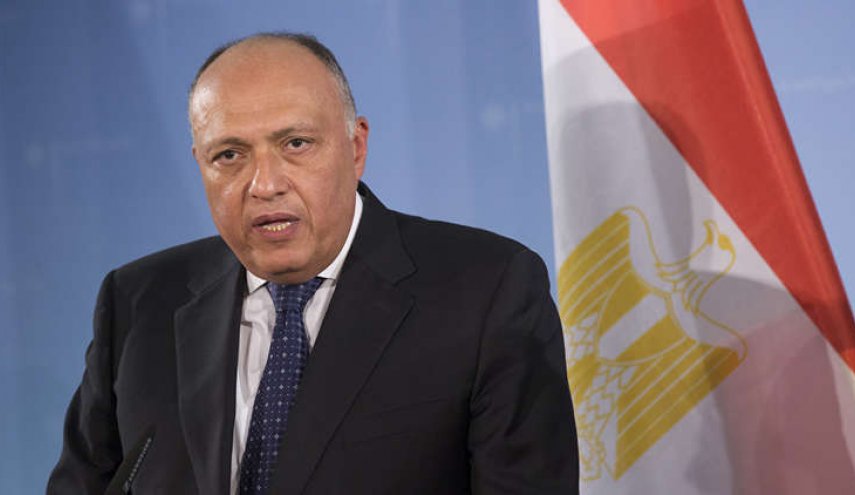 وزير الخارجية المصري: لا حلول عسكرية لأزمتي سوريا وليبيا
