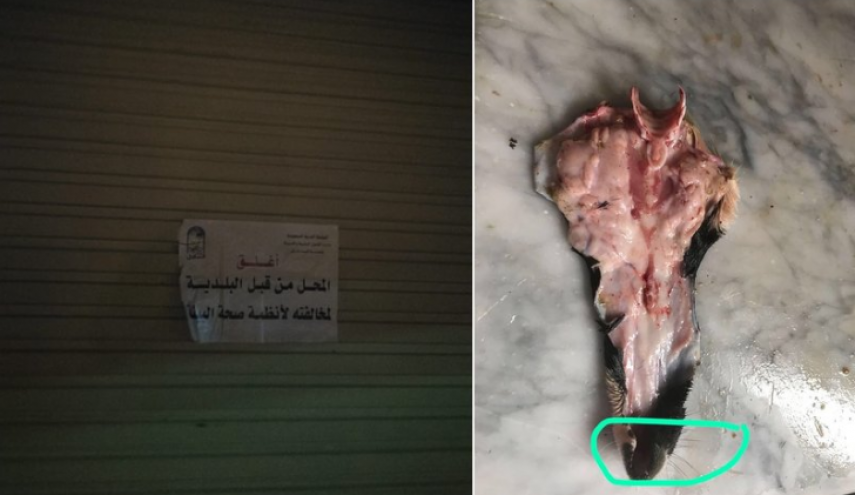 شاهد.. مطعم سعودي يقدم لحم الكلب لزبائنه!