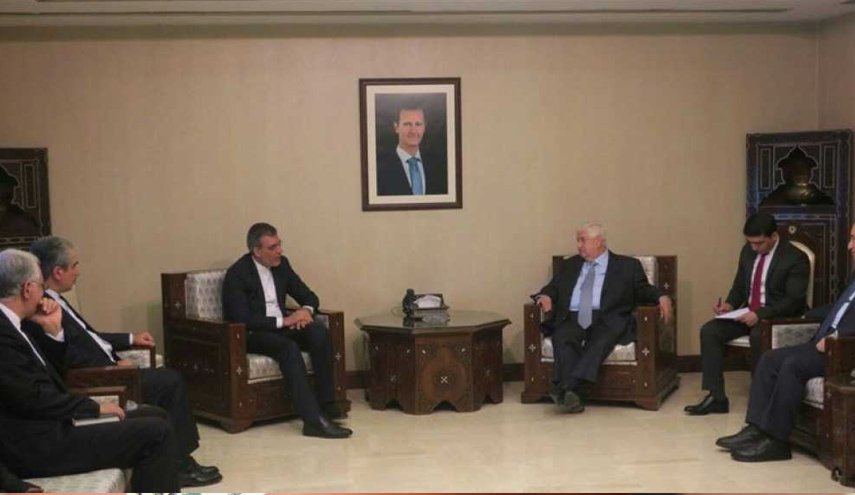 المعلم وجابري انصاري يؤكدان على أهمية التنسيق بين ايران وسوريا