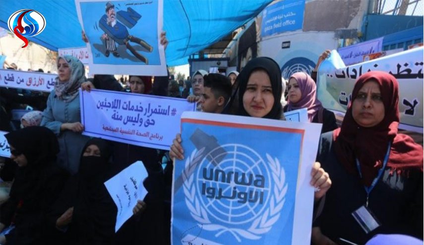 فلسطين.. موظفو 
