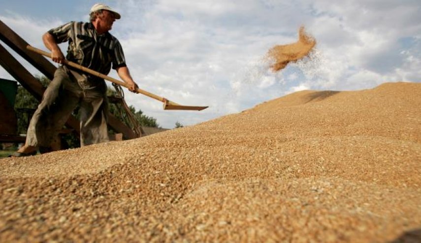 مصر تواجه خطر نقص استيراد القمح 