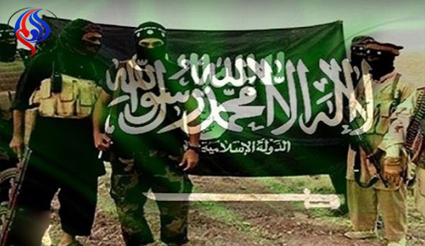 وثائقي ألماني يكشف 