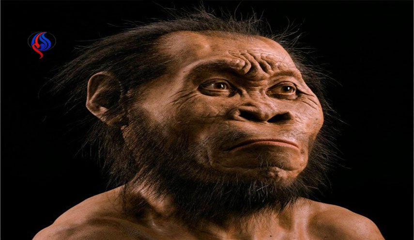 اكتشاف الجين المسؤول عن تطوير اللغة والتعلم لدى البشر!