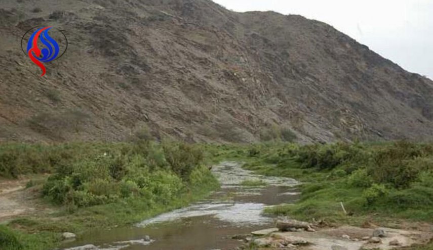 لاتوقف هنا.. وادي 