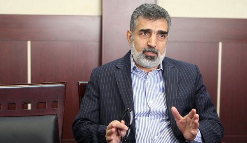 كمالوندي يؤكد الدور المؤثر لمحطة بوشهر النووية في انتاج الكهرباء