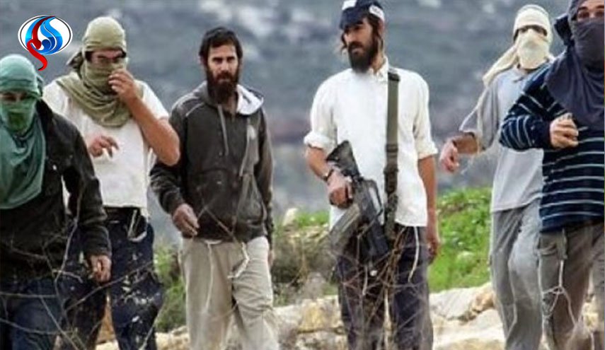  السلطة الفلسطينية: اعتداءات المستوطنين دليل على تواطؤ المجتمع الدولي