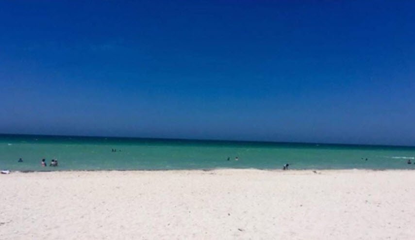 وهم بصري محير.. هل هذه صورة لباب أم شاطئ؟