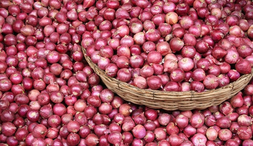 خصائص مدهشة لعصير البصل