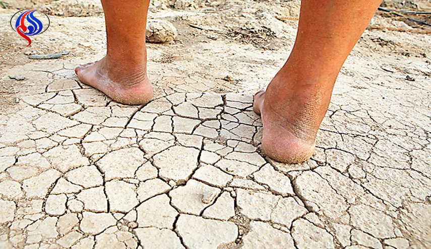أزمة البصرة.. الملوحة وشحّة المياه من أسبابها