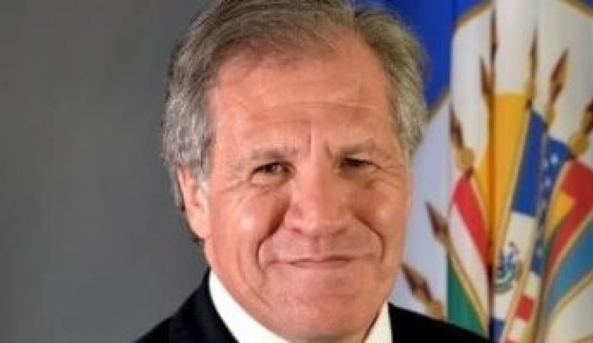 الأمين العام لمنظمة الدول الأمريكية لا يستبعد 