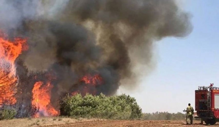 5 حرائق في ’غلاف غزة’ بفعل بالونات العودة