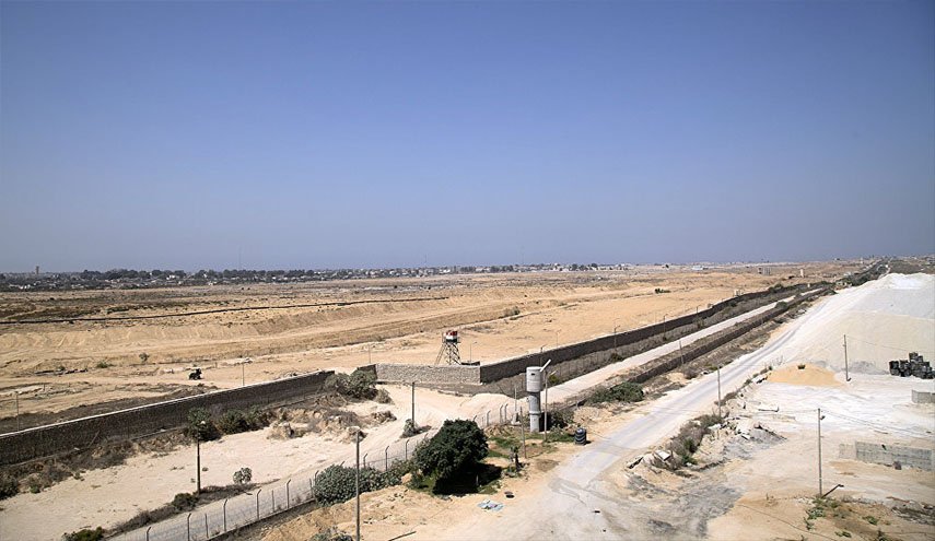 مصر... تنظيم 