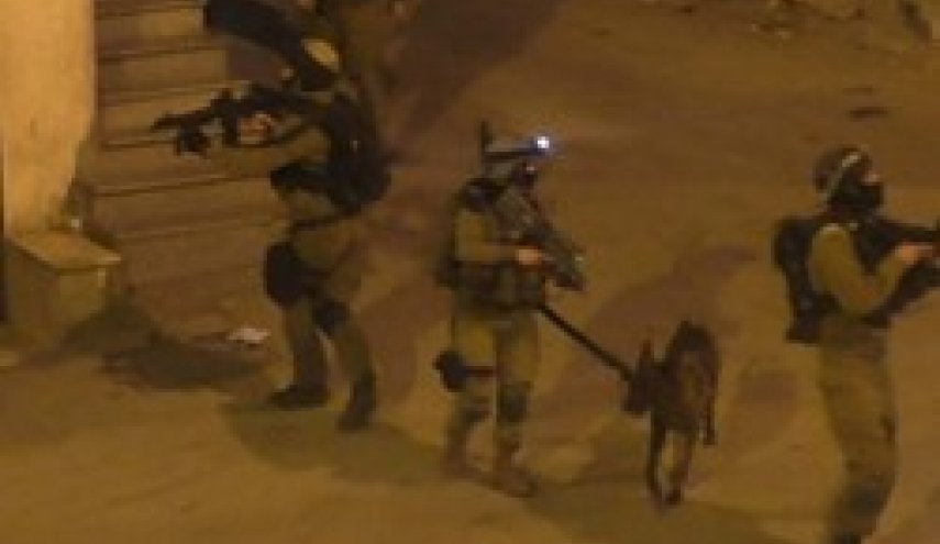 بازداشت 19 نفر از جمله خواهر عامل عملیات «برکان» در کرانه باختری
