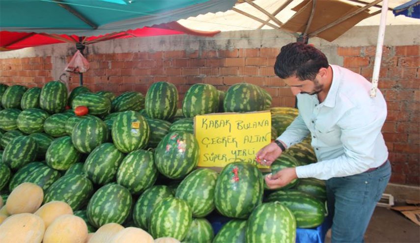 بطيخة تسبب مذبحة عائلية في تركيا