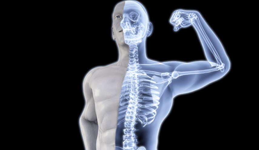 المغذيات أفضل من التمارين لصحة وكثافة العظام