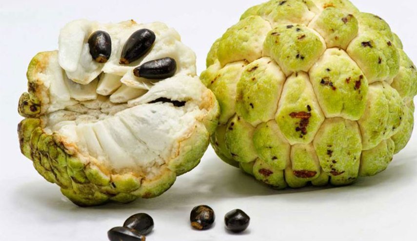 تعرف على الفوائد المذهلة للقشطة
