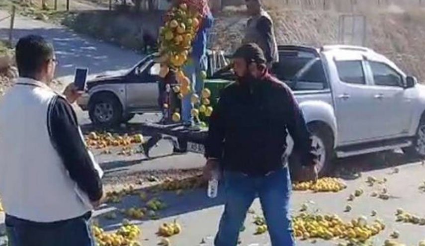 نزولاً عند رغبة مواطنيه.. “الأردن” يمنع استيراد الحمضيات من “سوريا”!