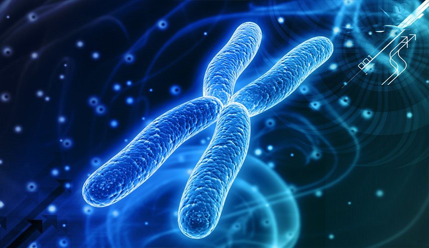 ماسبب طول عمر النساء أكثر من الرجال؟