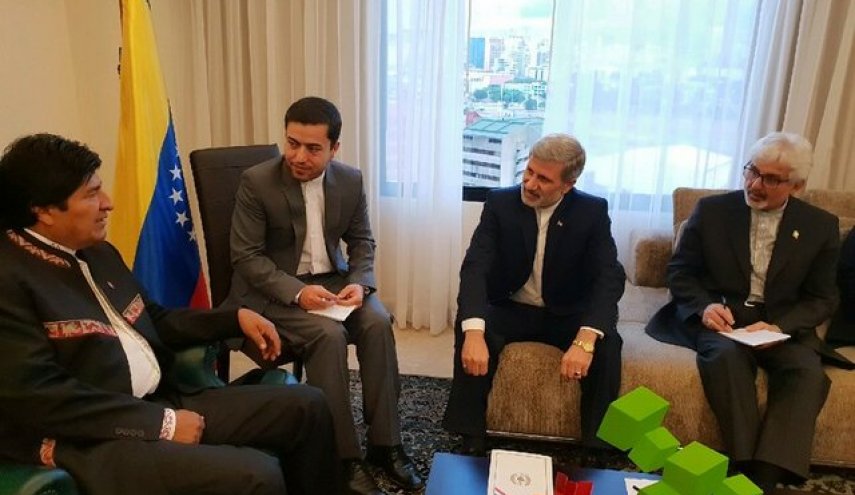 امیر سرتیپ حاتمی با رئیس جمهور بولیوی دیدار کرد

