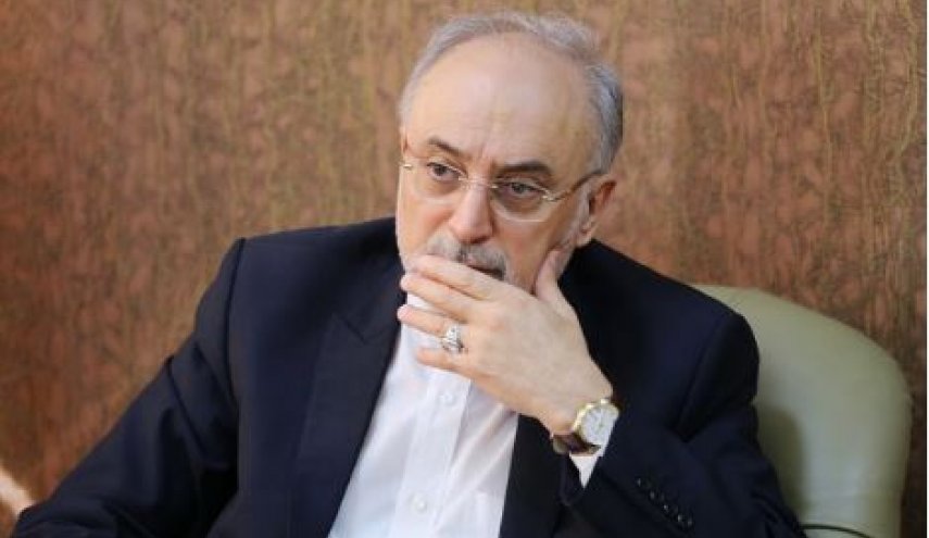 اقدامات اولیه برای طراحی سوخت مدرن 20 درصد آغاز شد