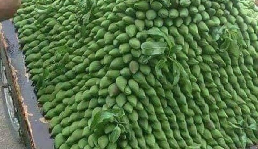 لعشاق