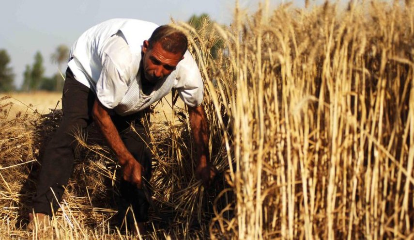 السماء تمطر 250 مليون دولار على السوريين..
