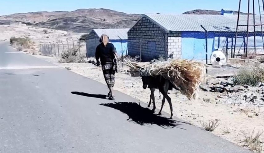 تنظيم القاعدة في اليمن يستخدم الحمير لتنفيذ تفجيراته