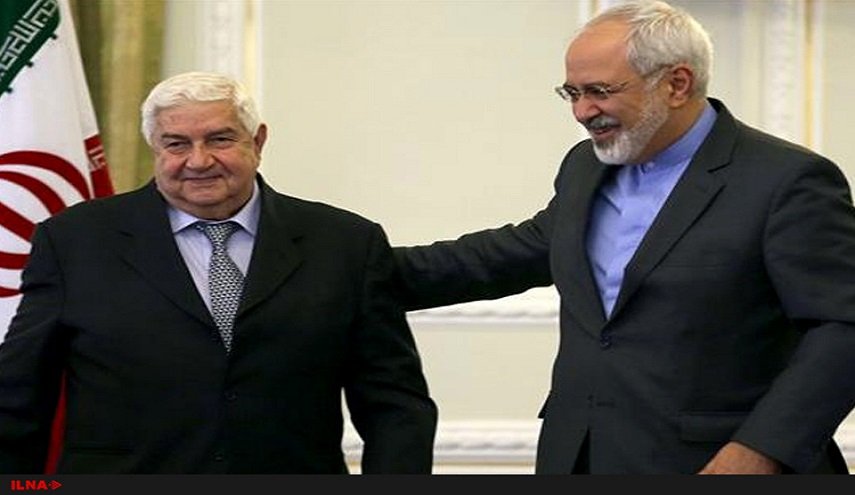 ظريف: يسعدنا الوقوف الى جانب سوريا والعراق والمنطقة في مكافحة الارهاب