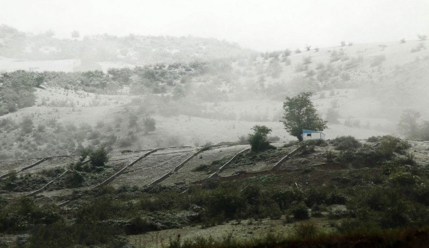 استان مازندران در بهار سفیدپوش شد
