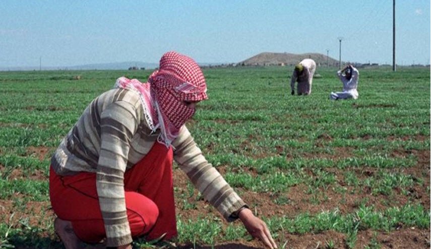 بتوجيه من الرئيس الأسد.. خبر سار للفلاحيين السوريين 