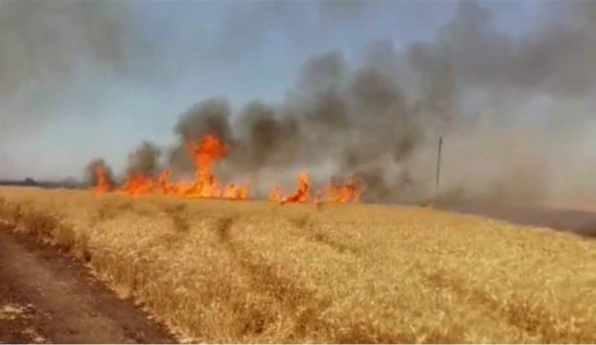 التجارة العراقية تصدر بيانا بشأن حرائق حقول الحنطة