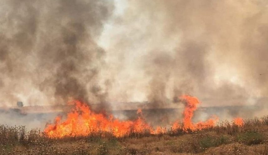 من يحرق حقول الحنطة بالعراق؟
