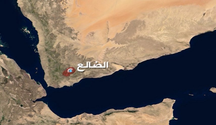 هكذا عوض مرتزقة السعودية هزيمتهم بالضالع اليمنية