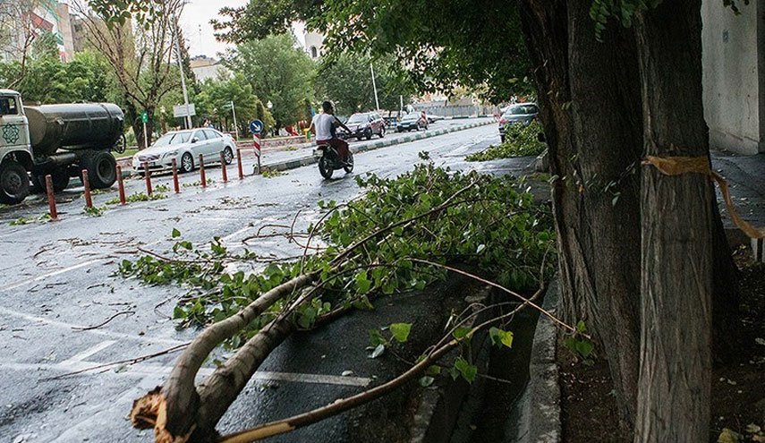شهرداری تهران: برای توفان امروز آماده ایم