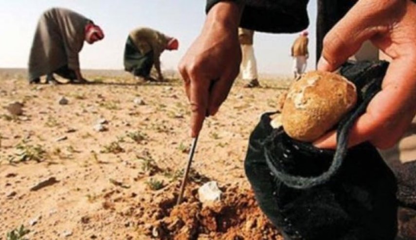 کشف اجساد سوخته ۹ دانشجوی عراقی در غرب الانبار + تصاویر
