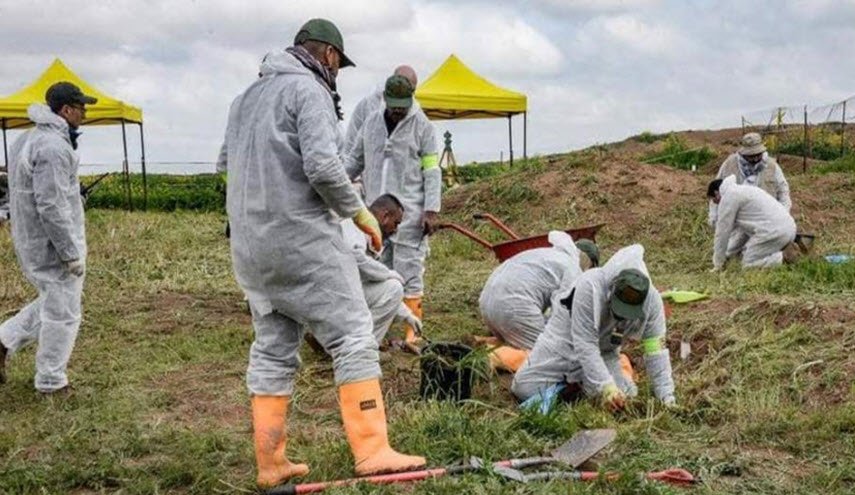 البدء باجراءات التعرف على 141 جثة استخرجت من مقابر جماعية في سنجار