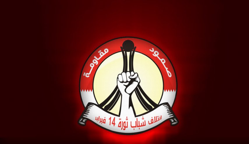 شباب ثورة 14 فبراير يدعو لمسيرات 