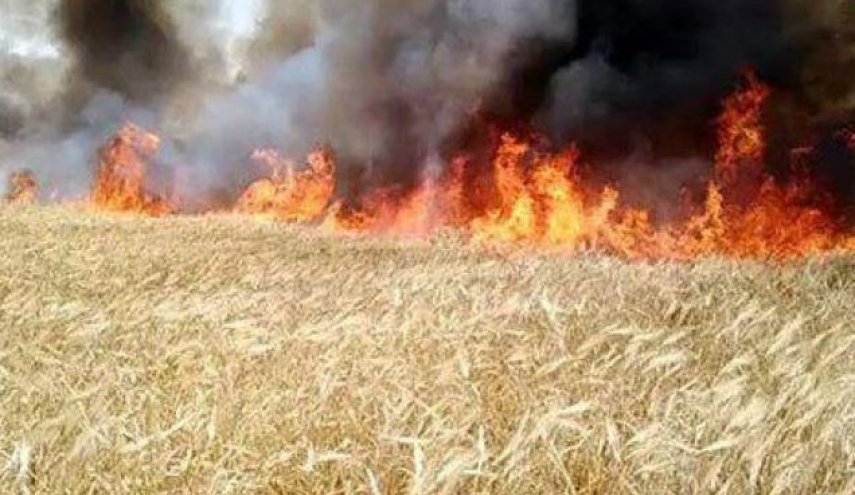 الضباب السام يدفع لإغلاق آلاف المدارس في ماليزيا وإندونيسيا 