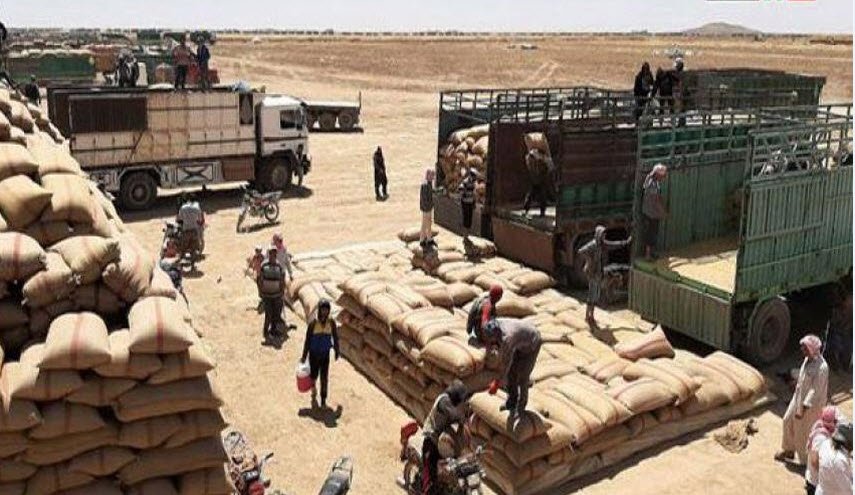 'قسد' تمنع الفلاحين في الحسكة من بيع محاصيل القمح 