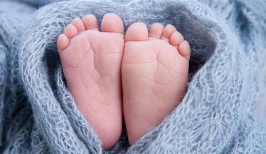 خبر صادم: 216 مولودا ذكرا والإناث 'صفر'