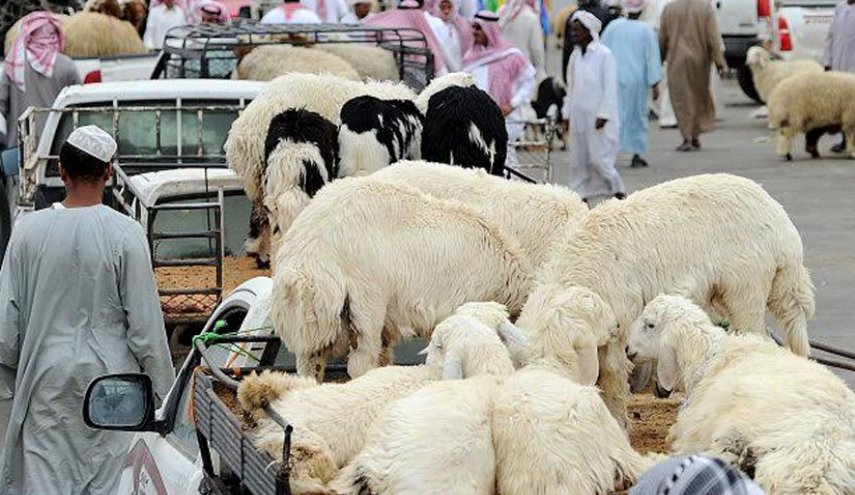 السعودية تضع 8 ضوابط لدخول 