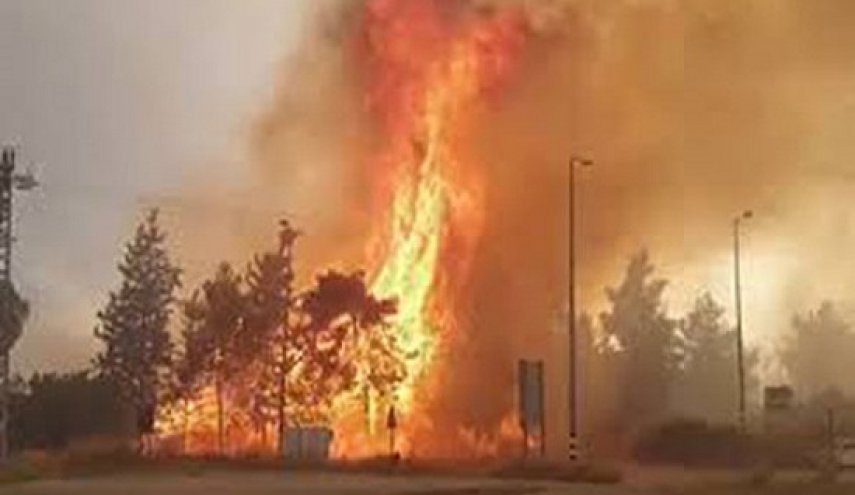 حرائق جهنمية تلتهم غابات ثاني أكبر جزيرة في اليونان